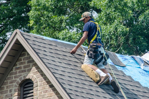 Best Shingle Roofing Installation  in Wakefield, MI